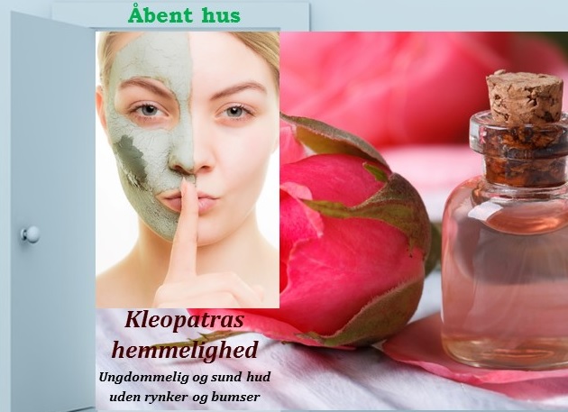 Søndag den 25. Januar, Nørrevang 43 1 tv, Birkerød